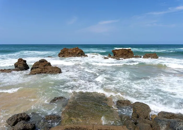 La Coline Bleue Daire *