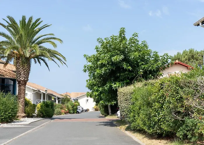 Daire La Coline Bleue *